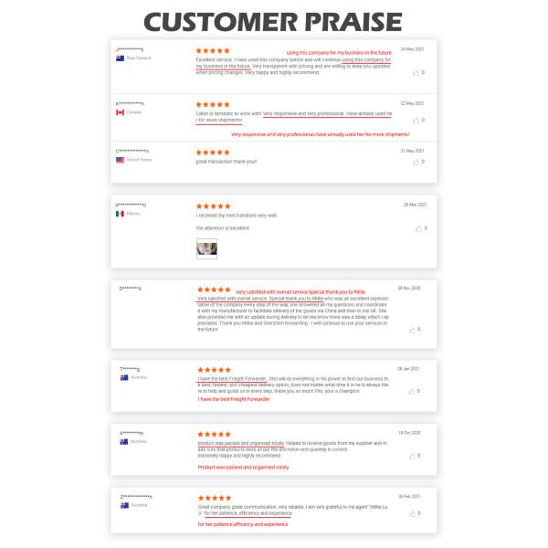 Курьер воздуха срочный грузит Китай к курьерскому сервису США международному быстрому