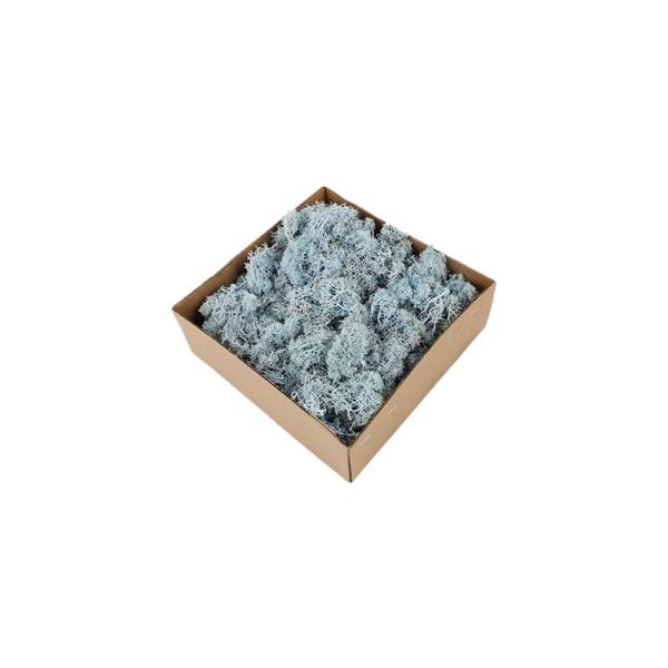 Decorative Modern Green Moss , Indoor Moss Wall With No Harmful Substances