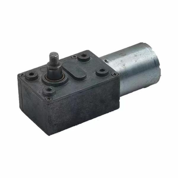 DC Motor 12-36v Electric Motor 50-100w For Home Appliances Blender Motor