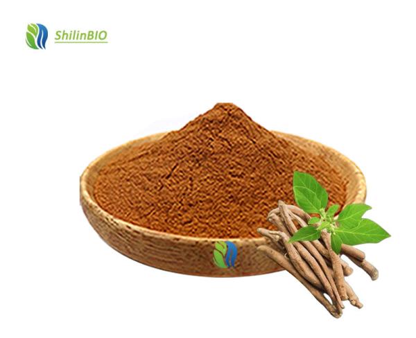 Ashwagandha Root Extract 5% Withanolide