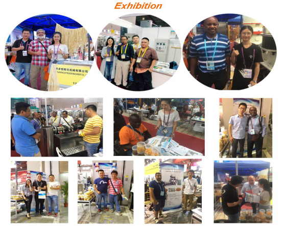 Full Production Line Pet Dog Food Extruder Processing Machine Made of Stainless Steel