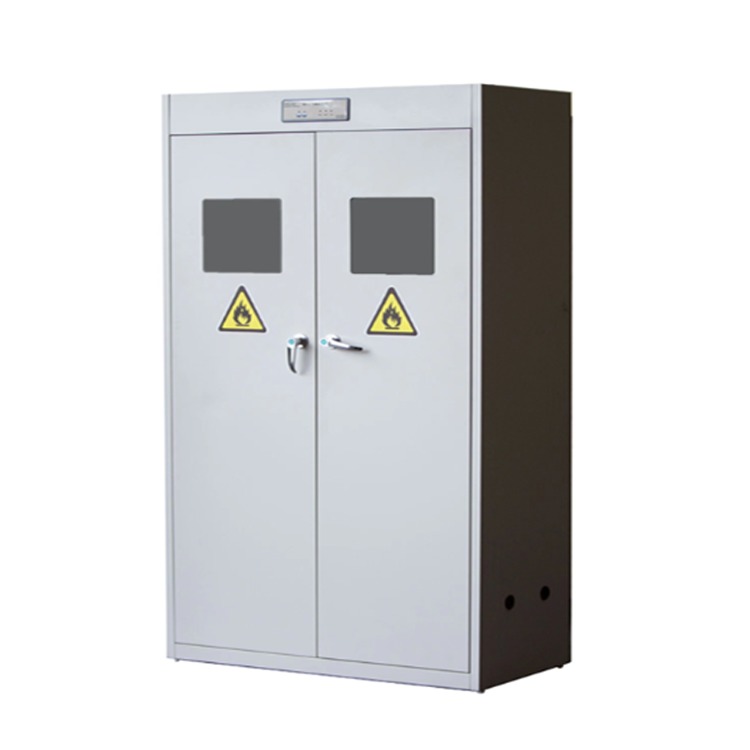 Heavy Duty Gas Cylinder Cabinet All Steel Gas Bottle Storage Cabinet Corrosion Proof