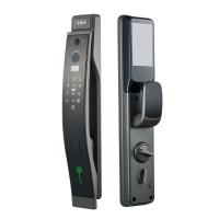 Régénération du visage gris Fermeture de porte intelligente Vidéo Interphone Fermeture de porte Alliage d'aluminium