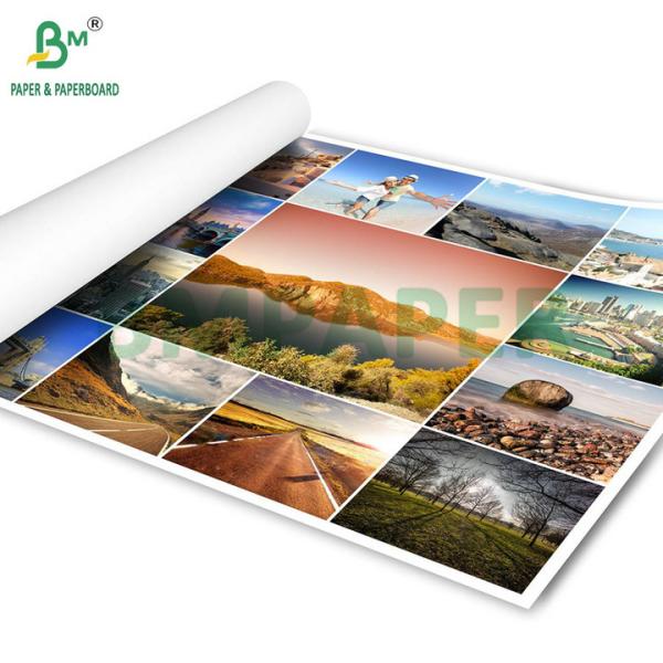 36" x 300ft 24lb Coated Paper Rolls For Inkjet Printing Posters And Banners 36