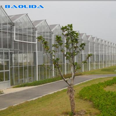 O multi tipo comercial vidro de Venlo da estufa do período cobriu agrícola