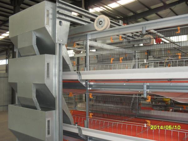 Anti-corrosivo Galvanizado Antomático Full Poultry Farm Shed Bird House Prefabricado