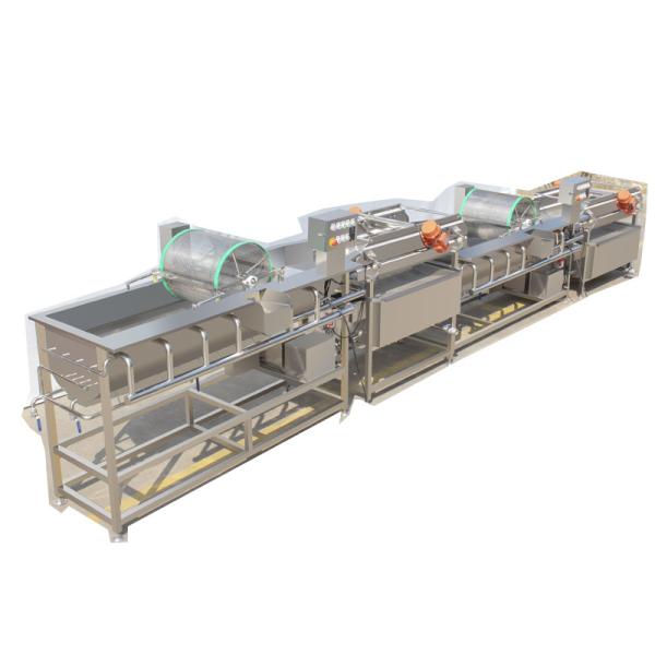 Filling Machine/Project Full Automatic Small Scale Beer Bottling Filling Packing Machine/Equipment Plant Line