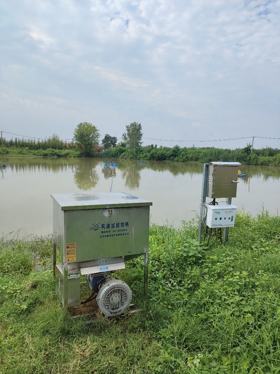 Automatic Timer Motorized Fish Feeder Feed Loading Machine 45 Packs Per Hour System