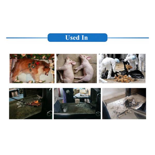 Small Pet Cremation Machine for Eco-Friendly Solid Waste Disposal in Crematorium