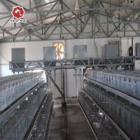 Mesh Baby Chick Cage Wire lisse engrènent une cage de poulet de cadre