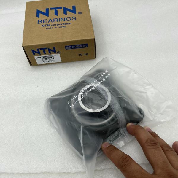 INA double -row full complement cylindrical roller bearing without cup F-208099