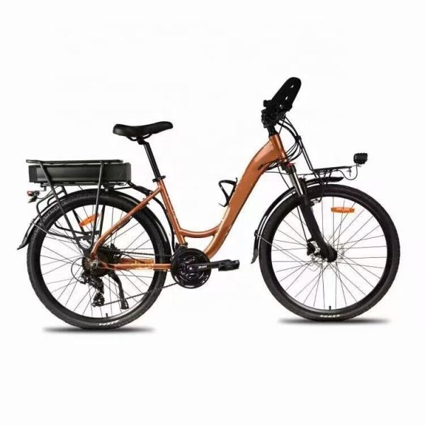 Lithium Battery 700C Electric City Bike 24 Speed 250W Low Step Through Electric Bike