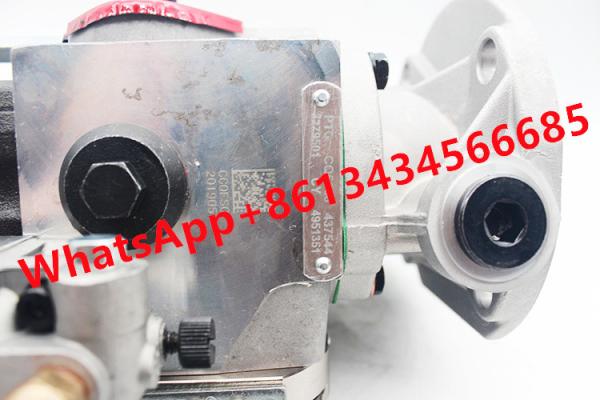 Peça de motor diesel genuína de alta pressão NT855-D da bomba de combustível NTA855 K19 K38 K50 4951351