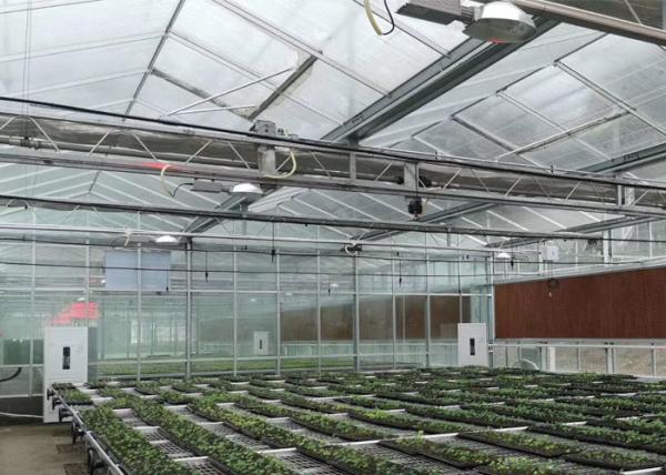 Garden Flowers PC Sheet Greenhouse , Farm Vegetables Flowers Multi Span Greenhouse