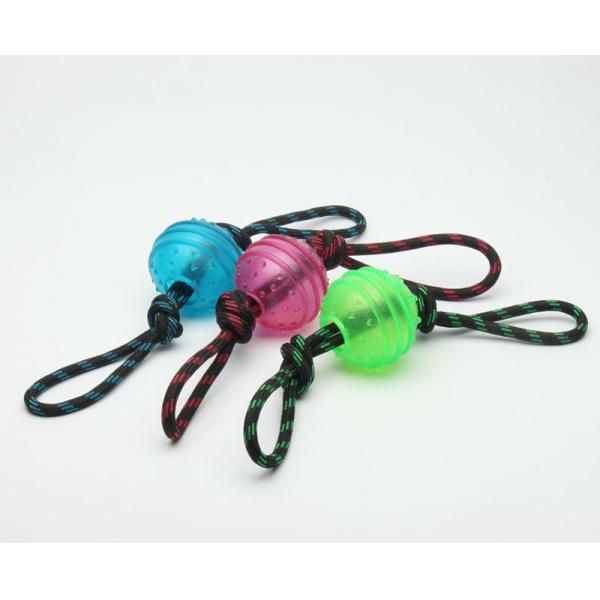 Lightweight Plastic Dog Ball With Rope Interactive Dog Toy For Heavy Chewers