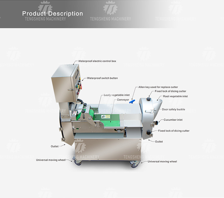 Машина Tengsheng шредера картошки Coleslaw ризома овоща 2.25KW