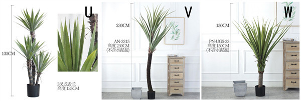 ISO Desert Snake Plant Artificial Bonsai Tree Tiger Piran Aloe Sansevieria Seeds