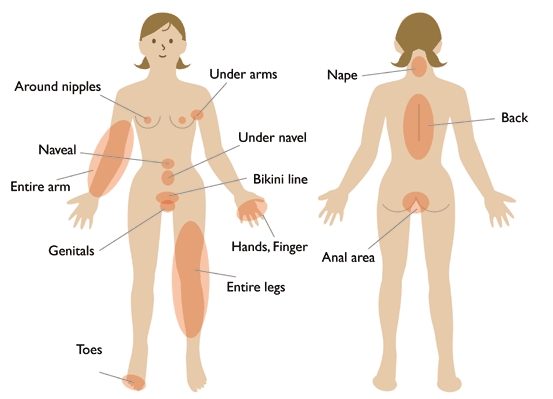 Factory Price Vertical 3 handles Elight Laser IPL Hair Removal skin tightening Machine