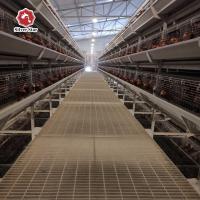 La ferme de poulet de viande a employé les oiseaux automatiques de la cage 272 de poulet à rôtir