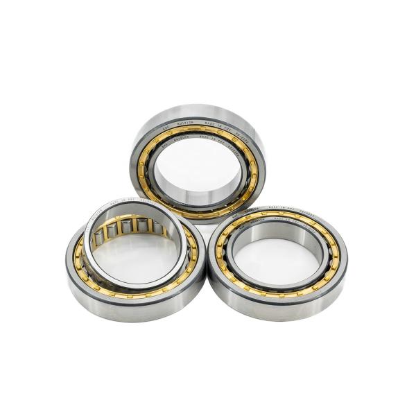 Long Life 50*110*27mm N310 NJ310 NU310 NUP310 Cylindrical Roller Bearings