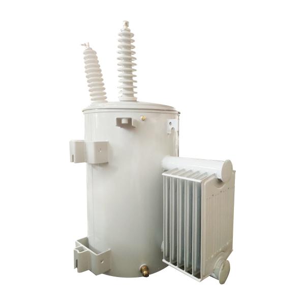 Single Phase 100KVA Pole Mounted Transformer Distribution 13.8Kv