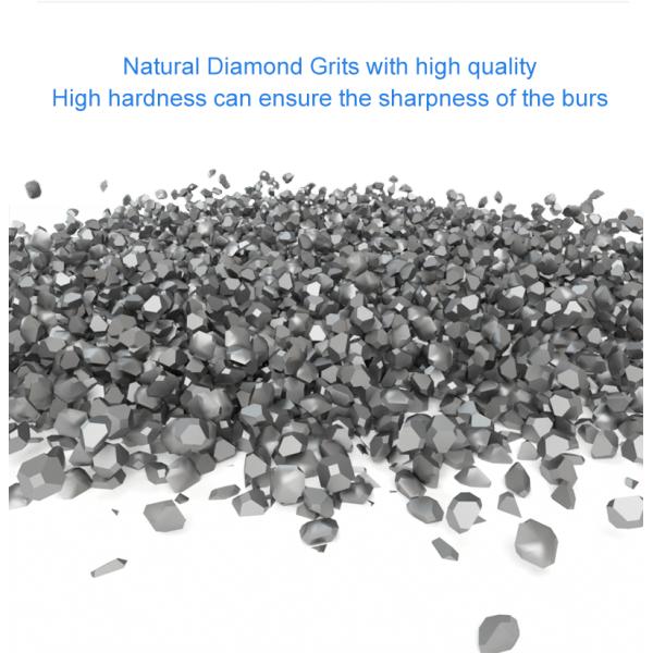 Fg Carbide Burs Round End Cylinder Bur Dental Bit Needle