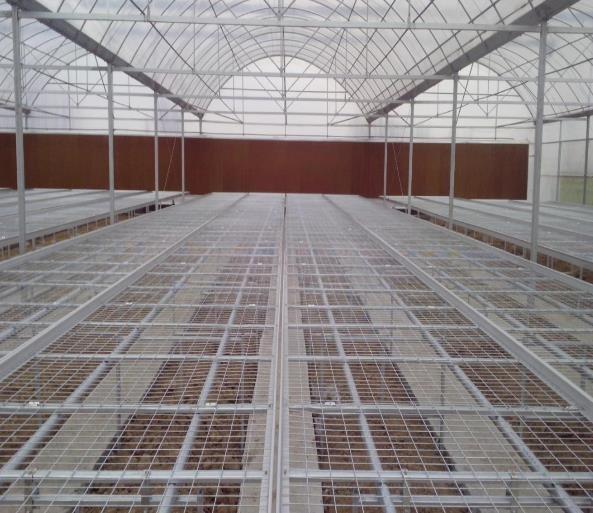 Big Sale Husbandry Honeycomb Cellulose Evaporative Cooling Pad for Greenhouse Cooling System With Brown Color 10mm