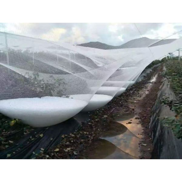 HDPE 100% Anti Hail Net White Heavy Duty Garden Protection
