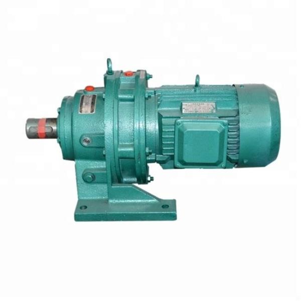 Planetary Cycloidal Gear Reducer Pinwheel Bwd6 Bwd7 14-280rpm Output Speed