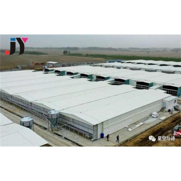 Steel Fabricated House for 10000 Pigs Prefabricated Steel Frame Pig Farm Building
