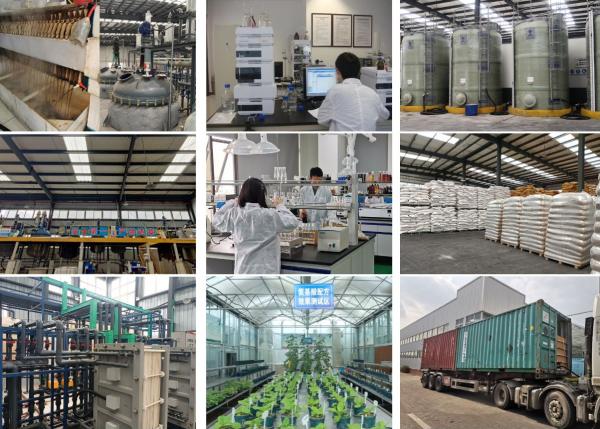 Pó de Aminoácido Composto Hidrolisado 80% Fertilizante Foliar Orgânico Fabricante 14-0-0
