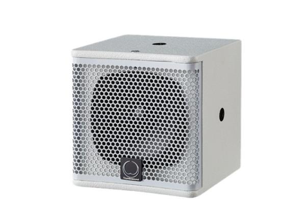100W RMS Full Range Speaker