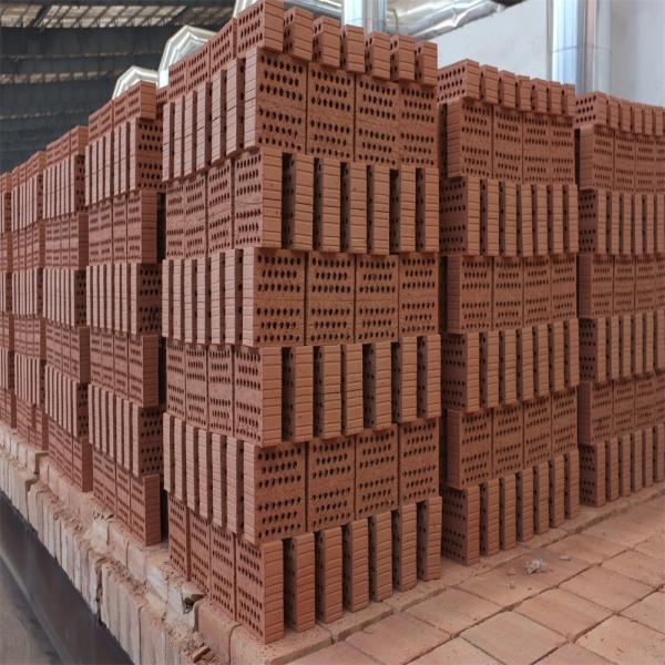 Clay Brick Tunnel Kiln 100000 200000 pela produção do tijolo do dia