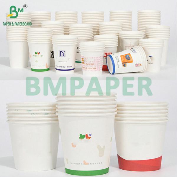 Papel de copa recubierto en PE Kraft Blanco de 185 gm 210 gm para la fabricación de vasos de papel para bebidas