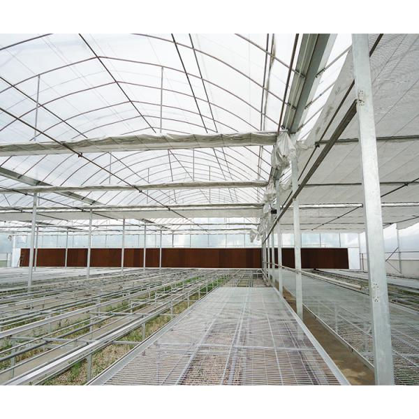 Kit de invernadero grande para huerto 30X100 con estructura metálica