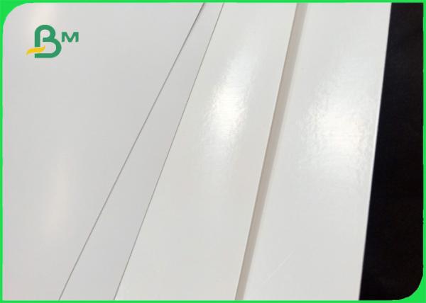 Papel do copo do processability 170gsm-300gsm da resistência alta da explosão bom no rolo