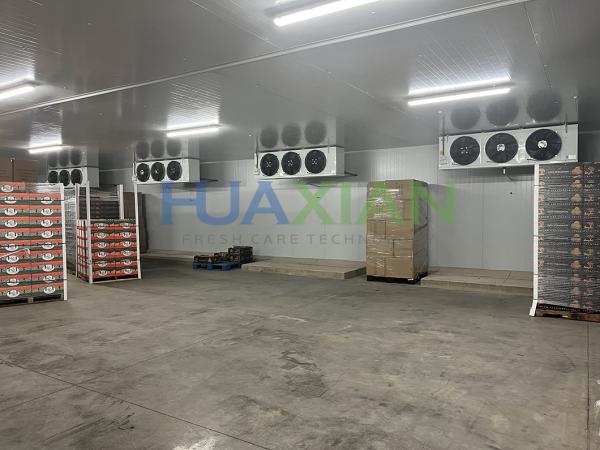 Automatic Defrosting Cold Room Evaporator Air Cooler Blast Walk In Freezer