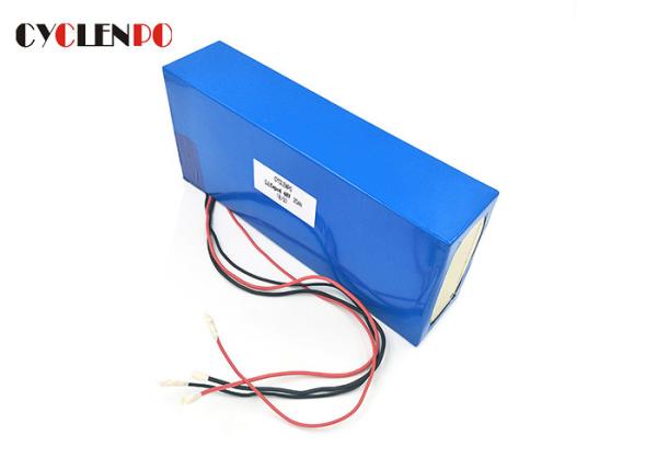 Electric Bike 48V LiFePO4 Battery Lightweight High Temperature Storage Shock Resistance