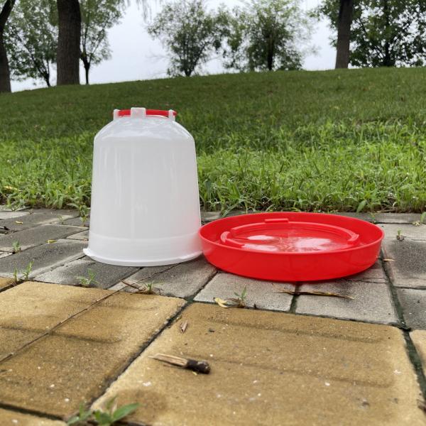 Beber de cone de aves de capoeira de plástico vermelho cilíndrico para abastecimento constante de água
