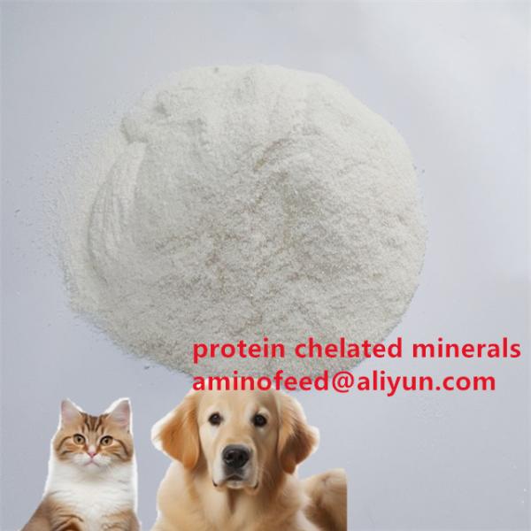 Zinc Amino Acid Chelate 20% Feed Additive for Pet Food