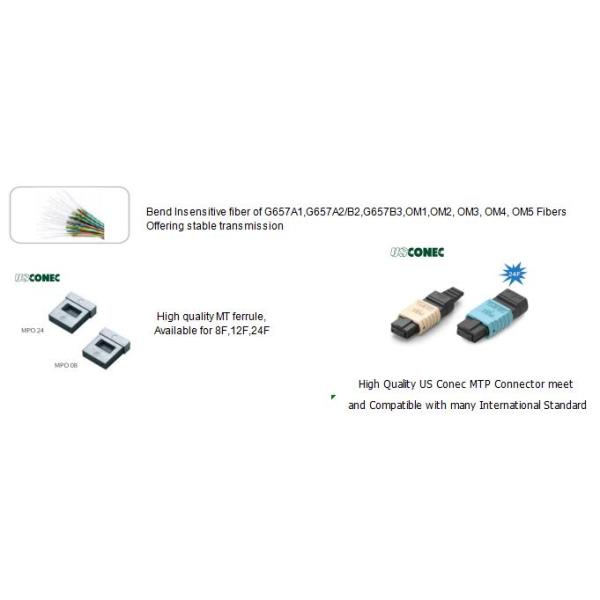 12F MTP OM4 Fiber Optic MTP-LC 2.0mm Straight Harness Cables