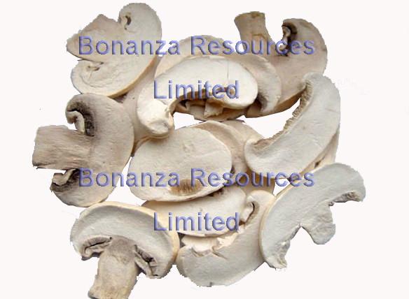 Freeze Dried Button Mushroom Chips