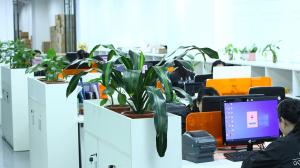 Shenzhen Golden Moon Trade Ltd.