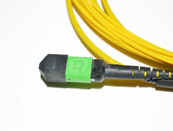 40G 8 Fiber Singlemode MPO/MTP To LC Fan Out Jumper 0.5dB Insertion Loss