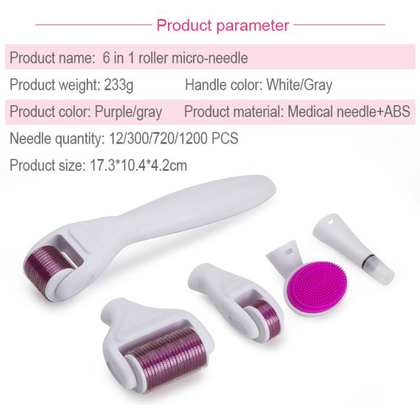 Newest ! 6 in 1 derma roller 12/300/720/1200 needles titanium micro needle therapy derma roller/ dermaroller