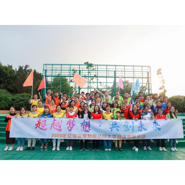 Стиль цветка персонализировал воротник Bandana любимца ткани Tc Bandana любимца