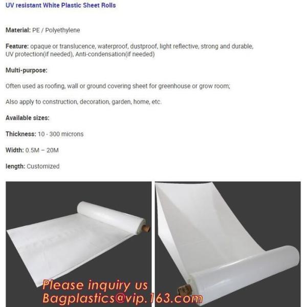 Construction Builder Film, Waterproof Dampproof, PONDS LINER, Geomembrane, Geotextile, Protective Cover