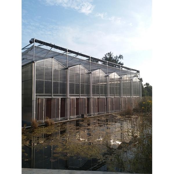 Invernadero con techo de policarbonato de plástico transparente para el cultivo de flores y hortalizas
