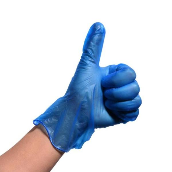 Powdered / Powder Free Clear Vinyl Glove , Latex Free Vinyl Gloves Odorless