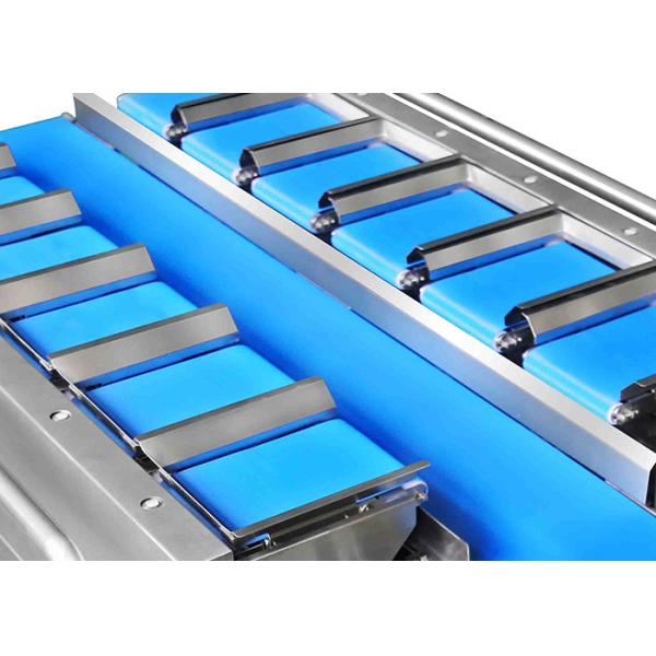 Máquina de processamento congelada pesador dos peixes da correia do PLC impermeável